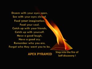 Self Discovery: Begin the journey of